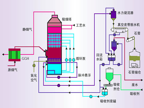 脱硫红杏黄片APP下载